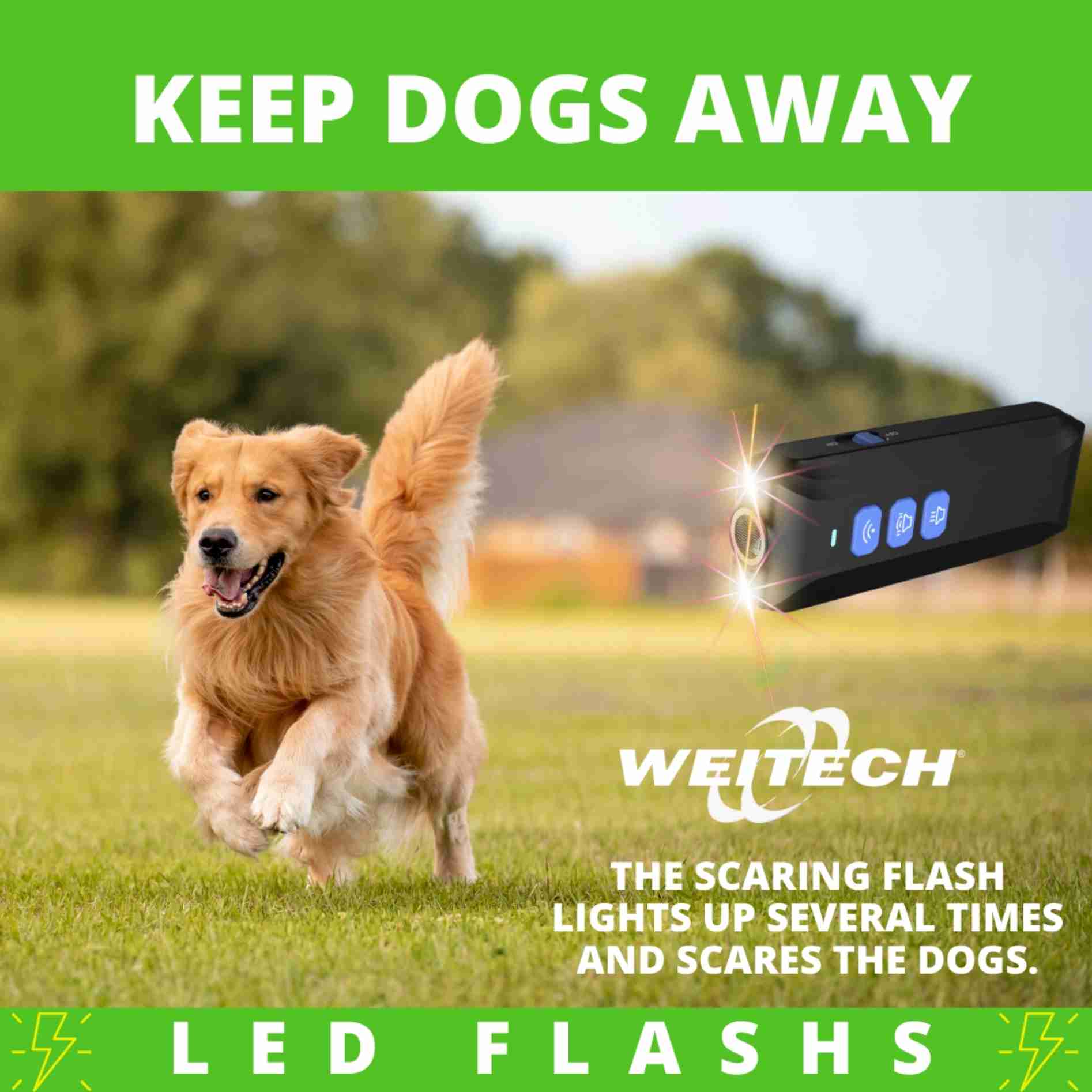 Ultrasonic dog chaser